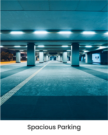 Spacious Parking